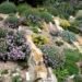 the art of crevice gardening, with kenton seth & paul spriggs
